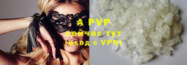 дмт Богданович