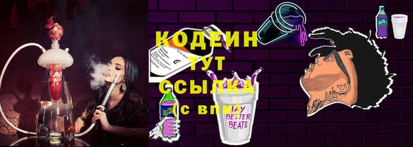 дмт Богданович