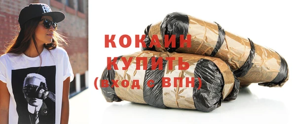 дмт Богородицк