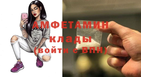 дмт Богданович
