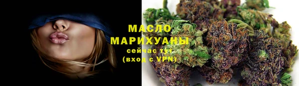 дмт Богородицк