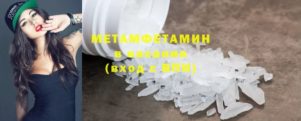 дмт Богданович