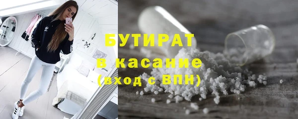 дмт Богданович