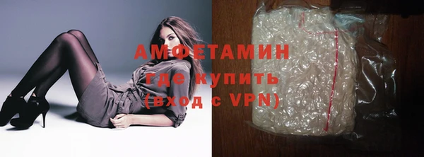 дмт Богданович