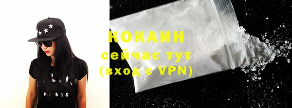 дмт Богородицк