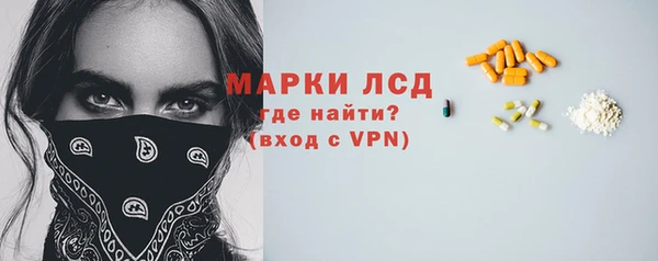 дмт Богданович