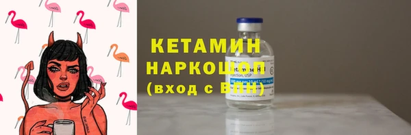 дмт Богданович