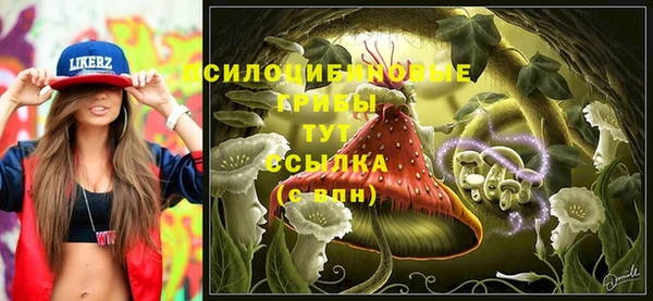 дмт Богданович