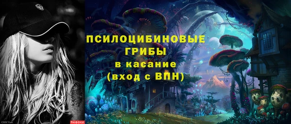 дмт Богданович