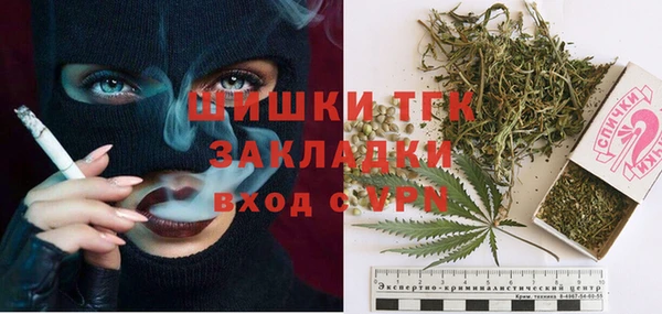 дмт Богданович