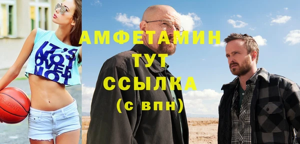 дмт Богданович
