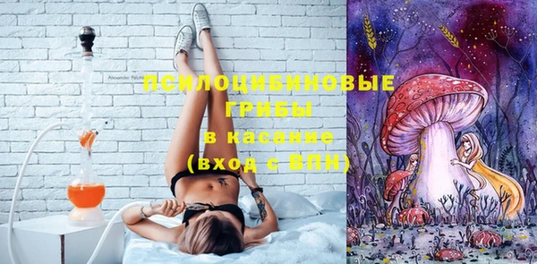дмт Богородицк