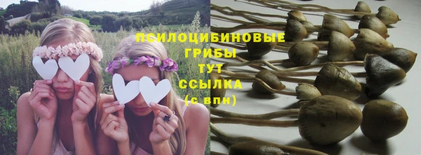 дмт Богородицк