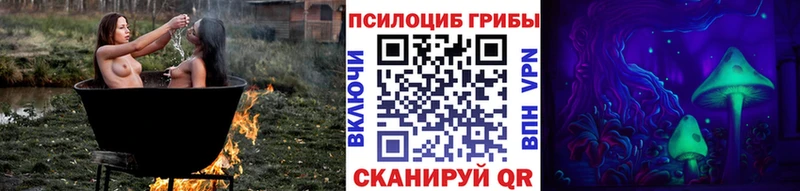 Галлюциногенные грибы мицелий  omg ССЫЛКА  Михайлов 